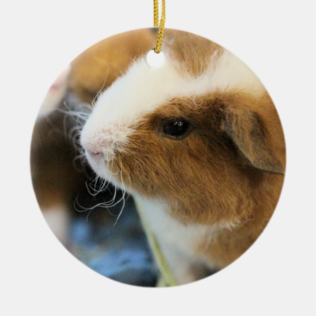 Piggy Ceramic Ornament (Front)