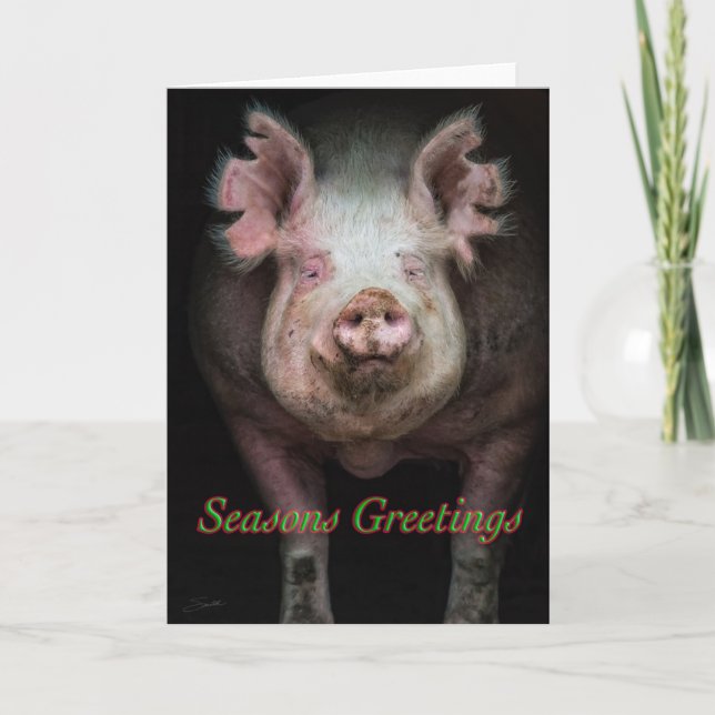 Piggy greetings holiday card (Front)