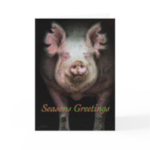 Piggy greetings