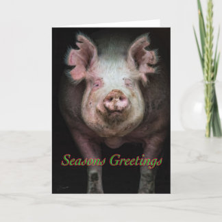 Piggy greetings holiday card