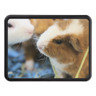 Piggy Hitch Cover