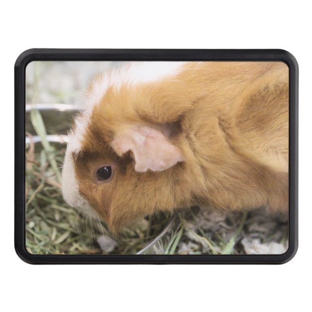 Piggy   hitch cover (Front)