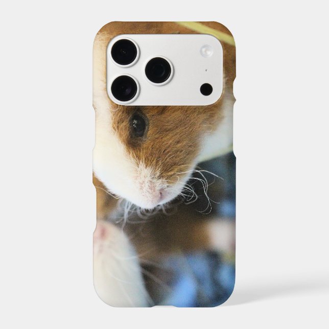 Piggy Iphone Case (Back)