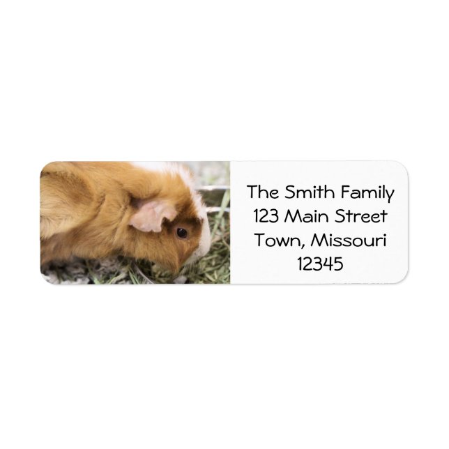Piggy Label (Front)