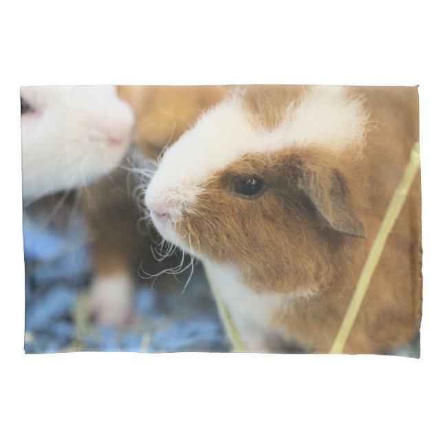 Piggy Pillow Case (Front)