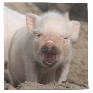 Piglet_2014_1101 Napkin