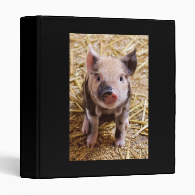 Piglet 3 Ring Binder (Front/Spine)
