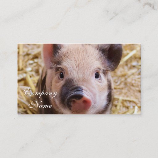 Customizable Piglet Business Card