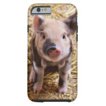 Piglet Tough iPhone 6 Case