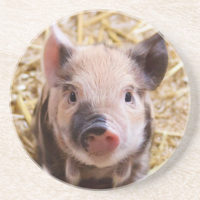 Piglet Drink Coaster (Front)