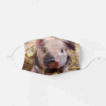 Piglet Face Mask Cover by pdphoto at Zazzle