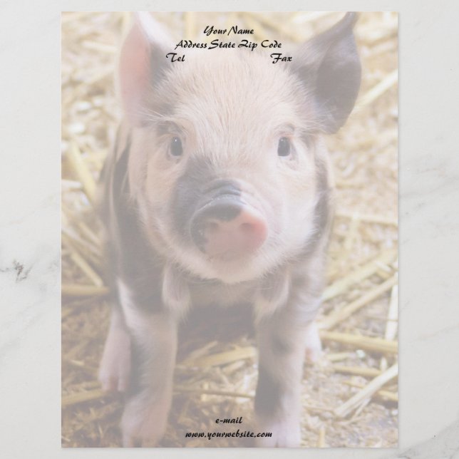 Piglet Letterhead (Front)
