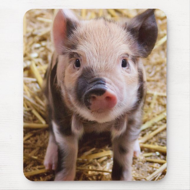 Piglet Mouse Pad (Front)