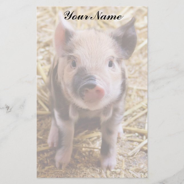 Piglet Stationery (Front)