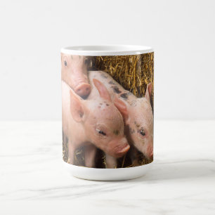 Piglets Coffee Mug