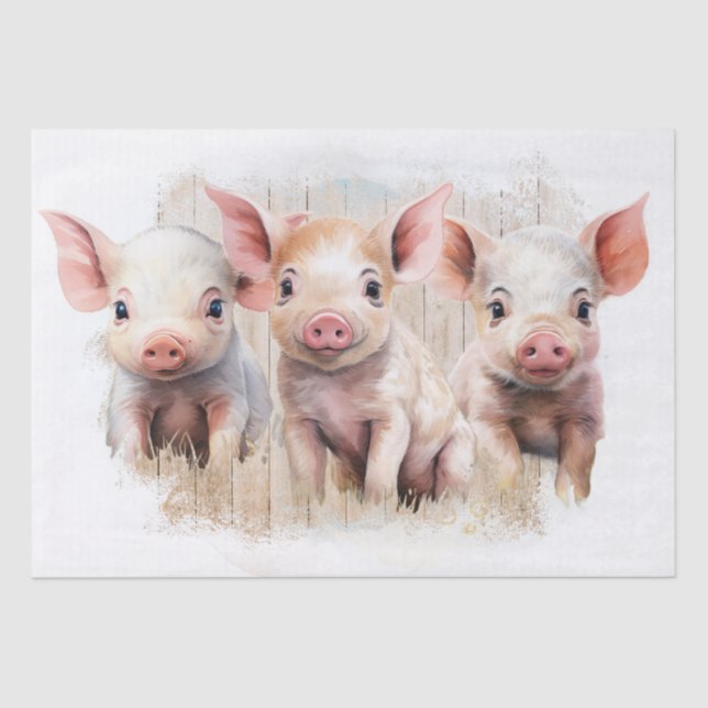 Piglets Farm Pigs Tissue Paper (Front)