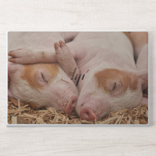 Piglets HP Laptop Skin