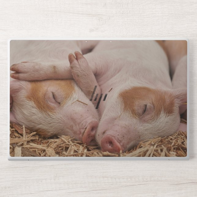 Piglets HP Laptop Skin (Front)