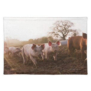 Piglets in Barnyard Placemat