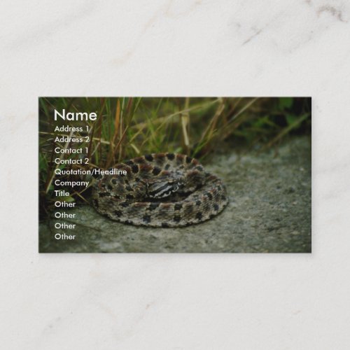 Pigmy Rattlesnake Business Card Templates