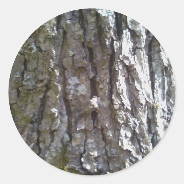 Pignut Hickory Tree Bark Classic Round Sticker (Front)
