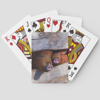 PigPen Pair Peeking Piggies Poker Cards