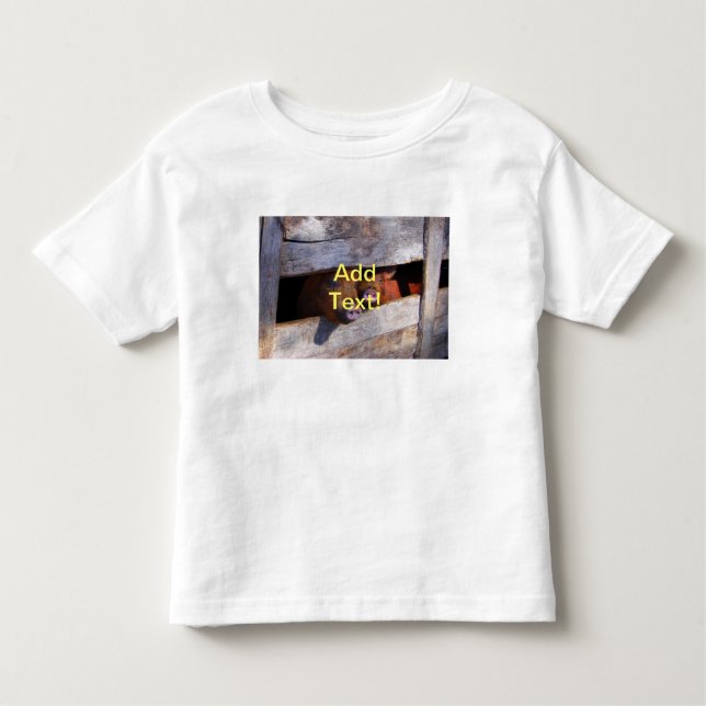 PigPen Pair Peeking Piggies Toddler T-shirt (Front)