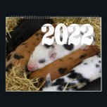 Pigs and Piglets 2022 Calendar<br><div class="desc">❤All designed with love by WitCraft Designs™! Personalize your way 👌 Find and follow us on social media (ⒻⓅⓉ) 📷 TAG #witcrafting and share your purchases on social media with us!! You can connect to all my social media accounts at www.witcrafting.com Visit my designer profile to see all my shops...</div>