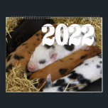 Pigs and Piglets 2022 Calendar<br><div class="desc">❤All designed with love by WitCraft Designs™! Personalize your way 👌 Find and follow us on social media (ⒻⓅⓉ) 📷 TAG #witcrafting and share your purchases on social media with us!! You can connect to all my social media accounts at www.witcrafting.com Visit my designer profile to see all my shops...</div>