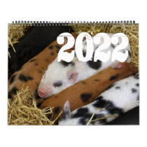 Pigs and Piglets 2022 Calendar