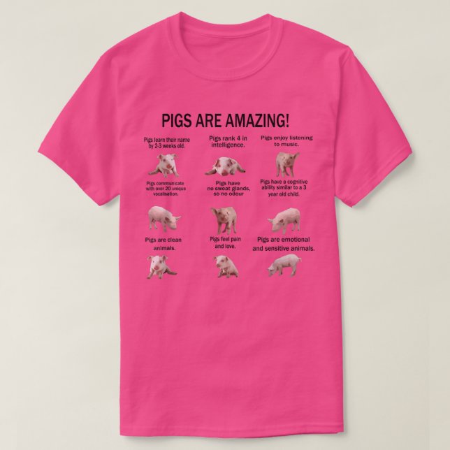 Pigs Are Amazing Cool Cute Pigs  T-Shirt (Design Front)