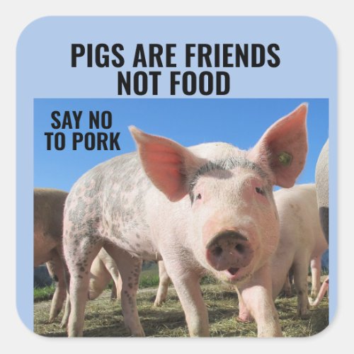 PIGS ARE FRIENDS NOT FOOD _ VEGAN STICKERS