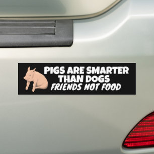 PIGS ARE SMARTER THAN DOGS, FRIENDS NOT FOOD  BUMPER STICKER
