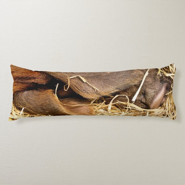 PIGS BODY PILLOW (Front)