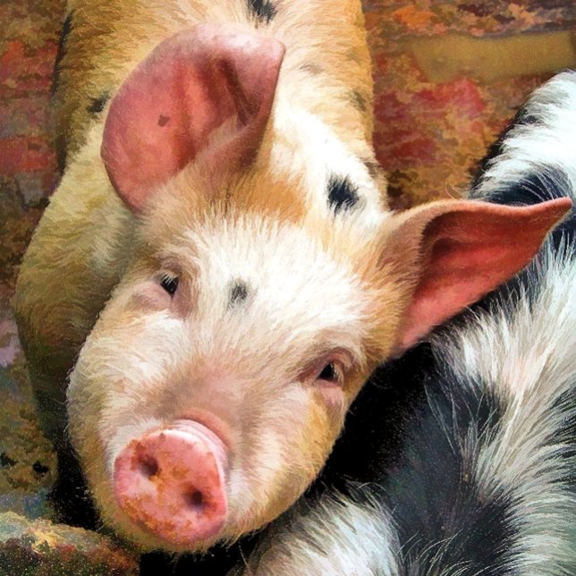 PIGS BRACELET (Creator Uploaded)