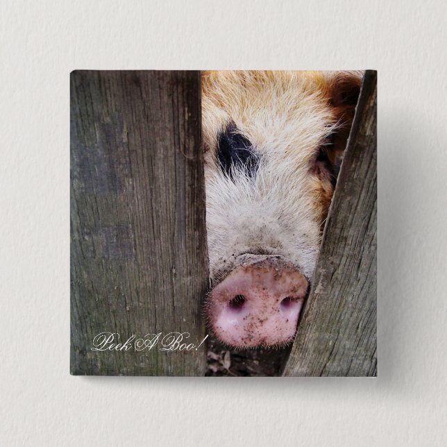 PIGS BUTTON (Front)