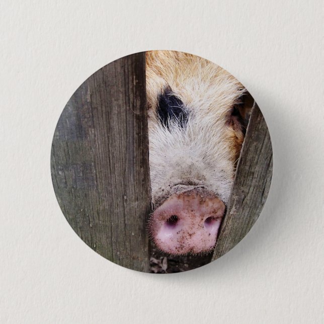 PIGS BUTTON (Front)