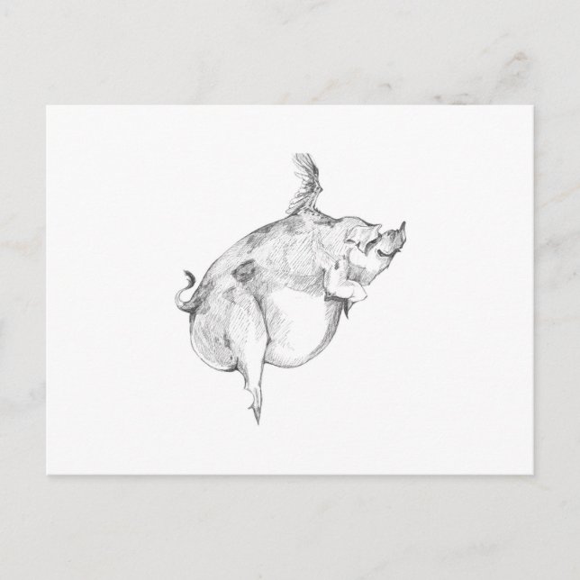 Pigs Can Fly Postcard (Front)