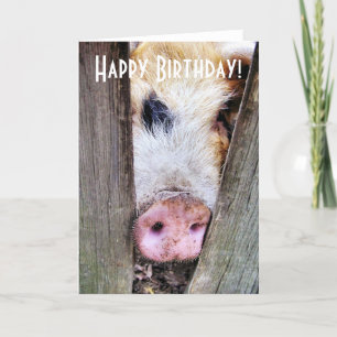 PIGS CARD