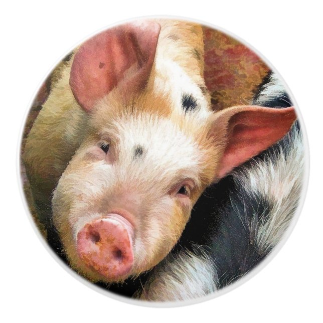 PIGS CERAMIC KNOB (Front)