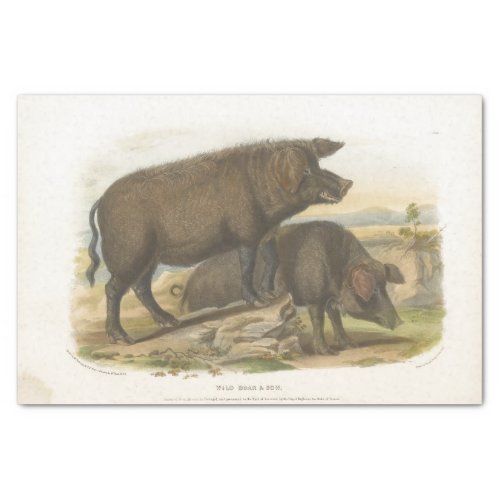 Pigs Ephemera Decoupage Vintage Farm Tissue Paper