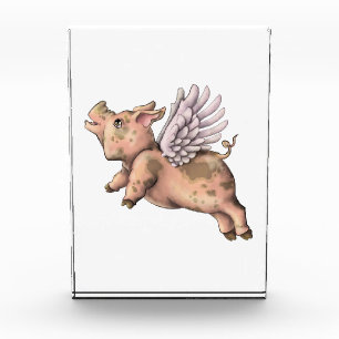 Pigs Fly Acrylic Award