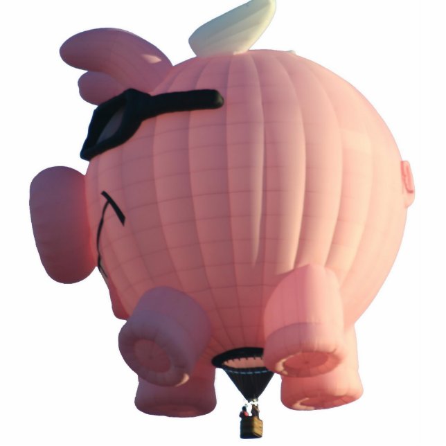 Pigs Fly Hot Air Balloon Photo Sculpture (Front)
