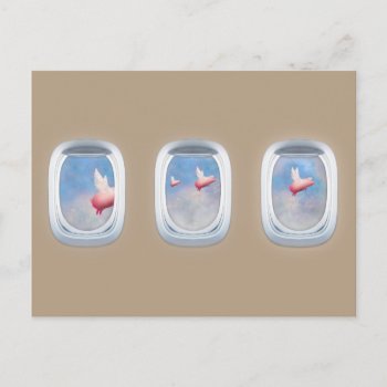 Pigs Flying Past Airplane Windows Postcard by pigswing at Zazzle