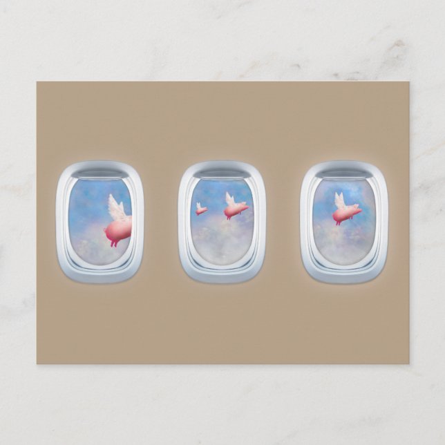 pigs flying past airplane windows postcard (Front)