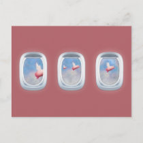 Pigs flying past airplane windows postcard