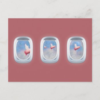 Pigs Flying Past Airplane Windows Postcard by pigswing at Zazzle