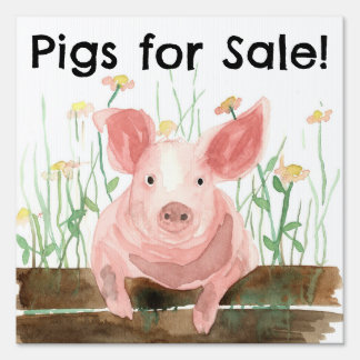 Pigs For Sale Barnyard Farm Animal Road Sign