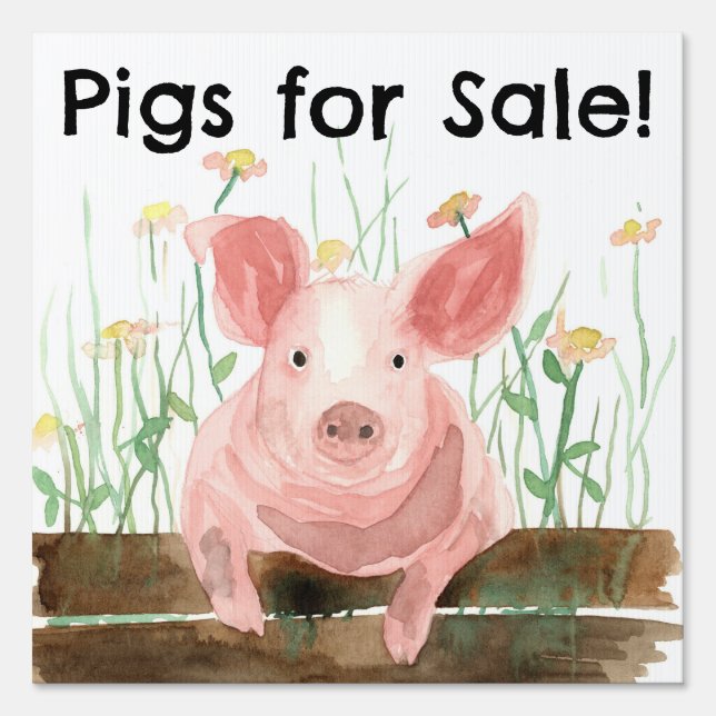 Pigs For Sale Barnyard Farm Animal Road Sign (Front)