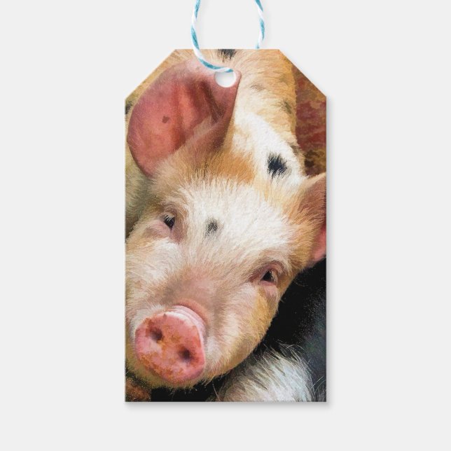 PIGS GIFT TAGS (Front)